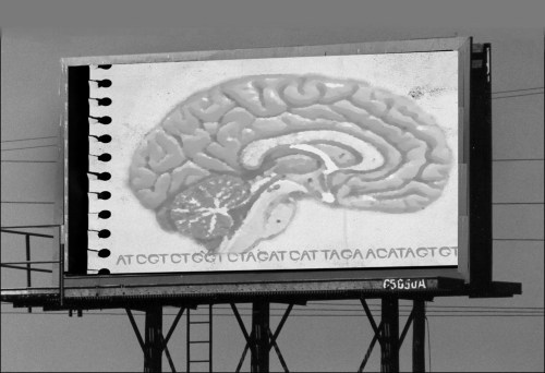 BRAINGENES_billboard BRAINGENES_billboard