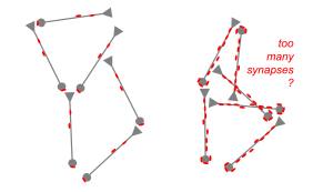 toomanysynapses