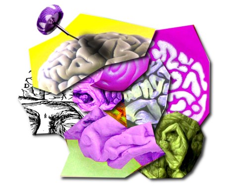 braincollage